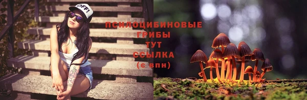 крисы Алексин