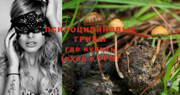 твердый Алексеевка