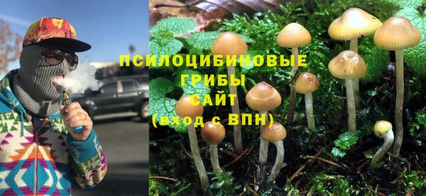 твердый Алексеевка