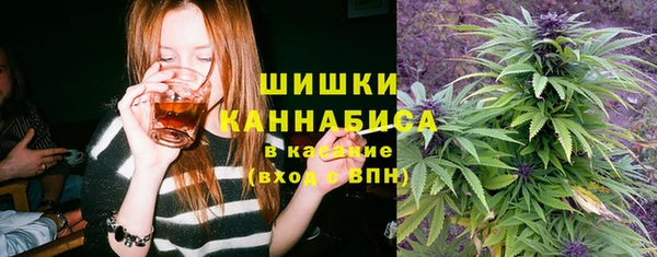 твердый Алексеевка